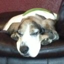 Don Pollock - @dcpollock625 - Twitter