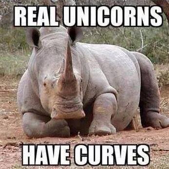 Ollenkies2's profile picture. 