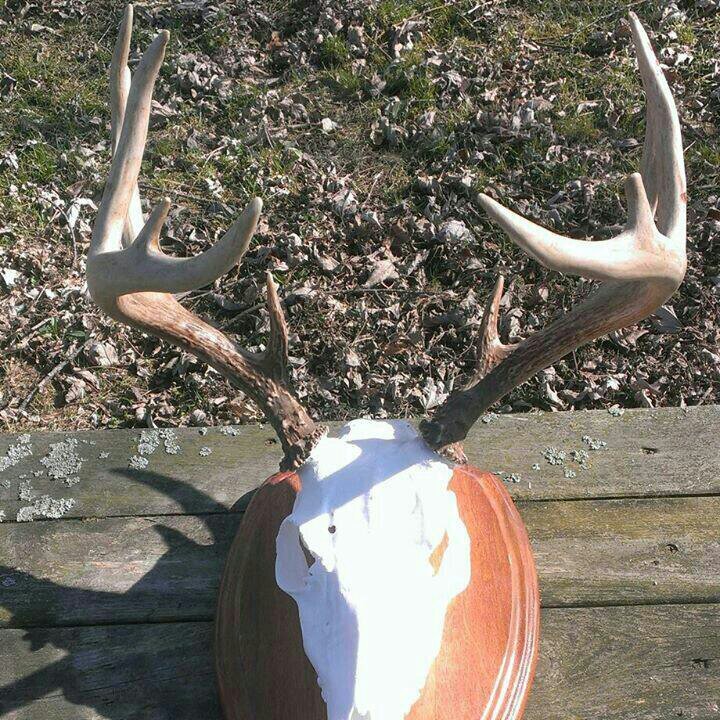 DLucckino's profile picture. 