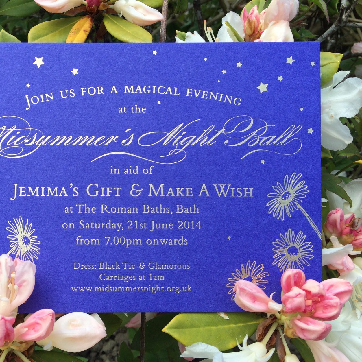 MidsummersBall's profile picture. 21st June 2014            Roman Baths & Pump Rooms, BATH              Enjoy a magical evening and help make wishes come true