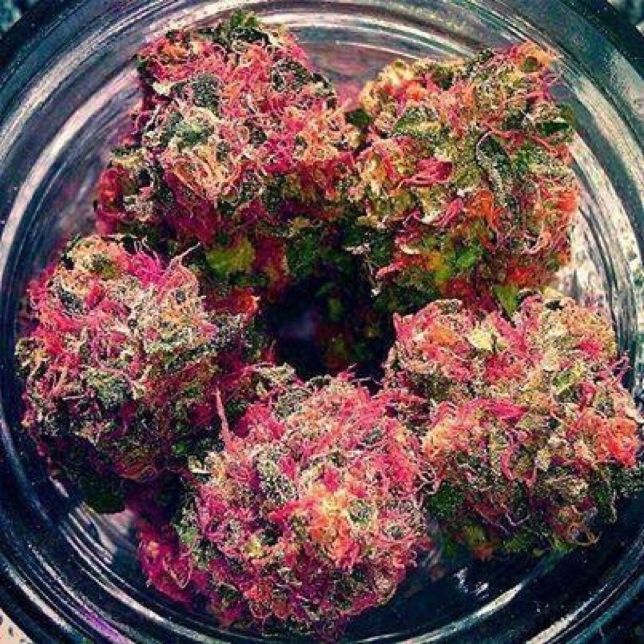WEED, KUSH, BUD, whatever you wanna call it pass it this way