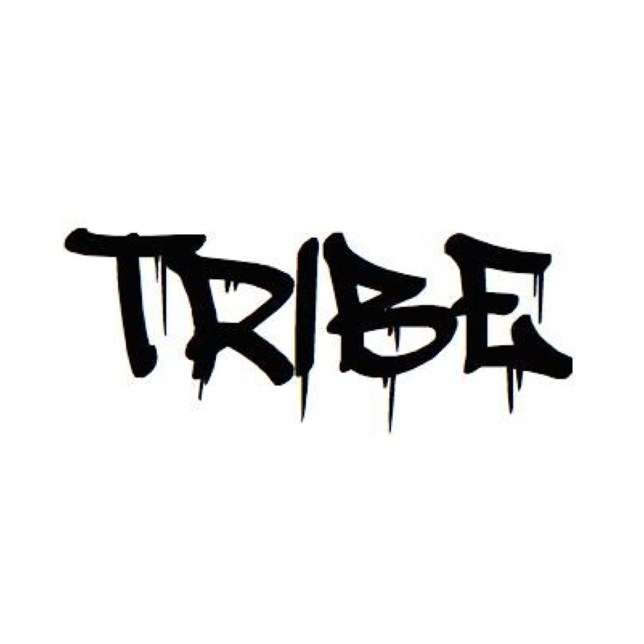 Together Resisting Identity Barriers Equally. A student group that recognizes the capacity for art to address social & political issues. |tribe@utsc.utoronto.ca