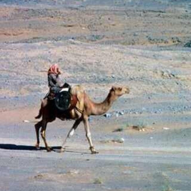 ،سبحان الله والحمدلله ولا إله الا الله والله اكبر ،، اللهم صل وسلم وبارك على نبينا محمد