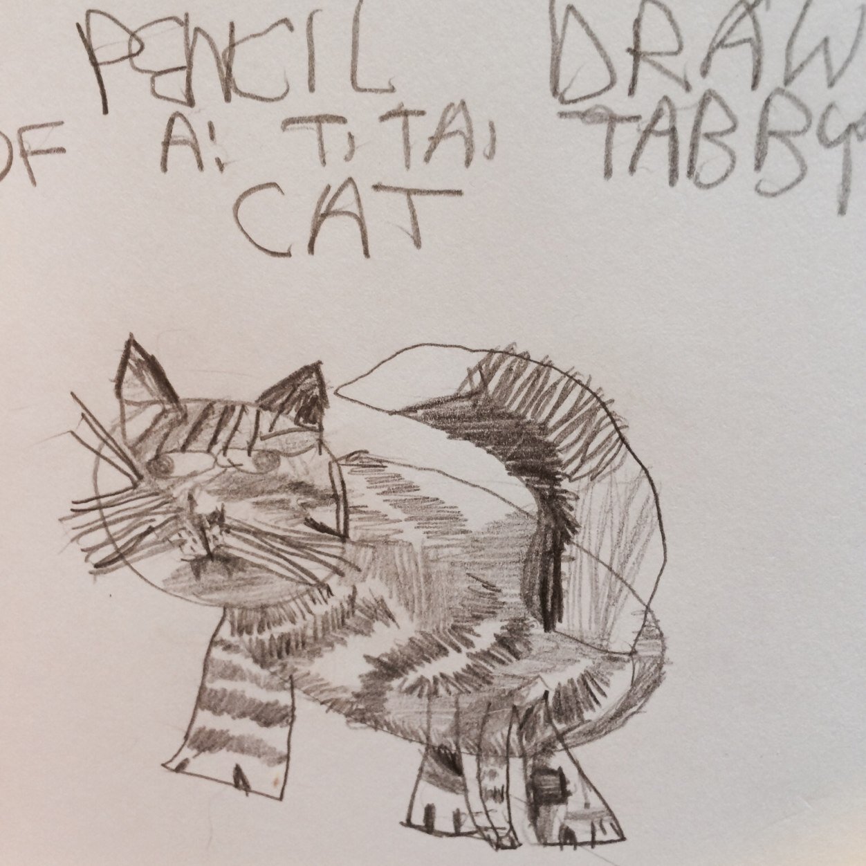 Phoebs_lyle_art's profile picture. This is the origional twitter page for Phoebs Lyle Art