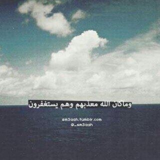 shadow19431's profile picture. .