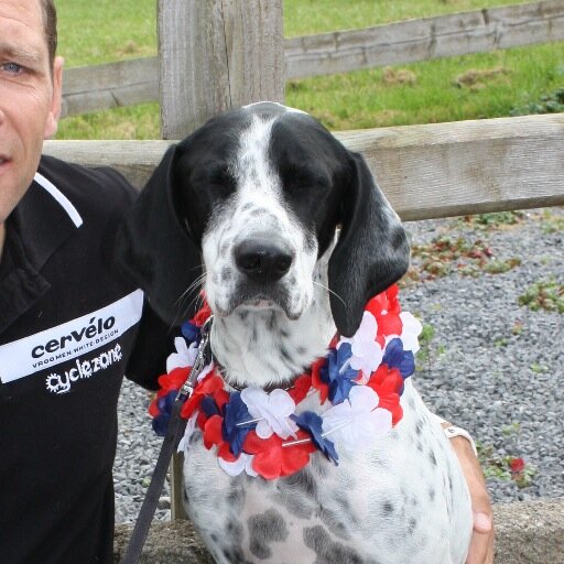 IronDog. IronTrainingPartner. IronManager. Anything is possible.