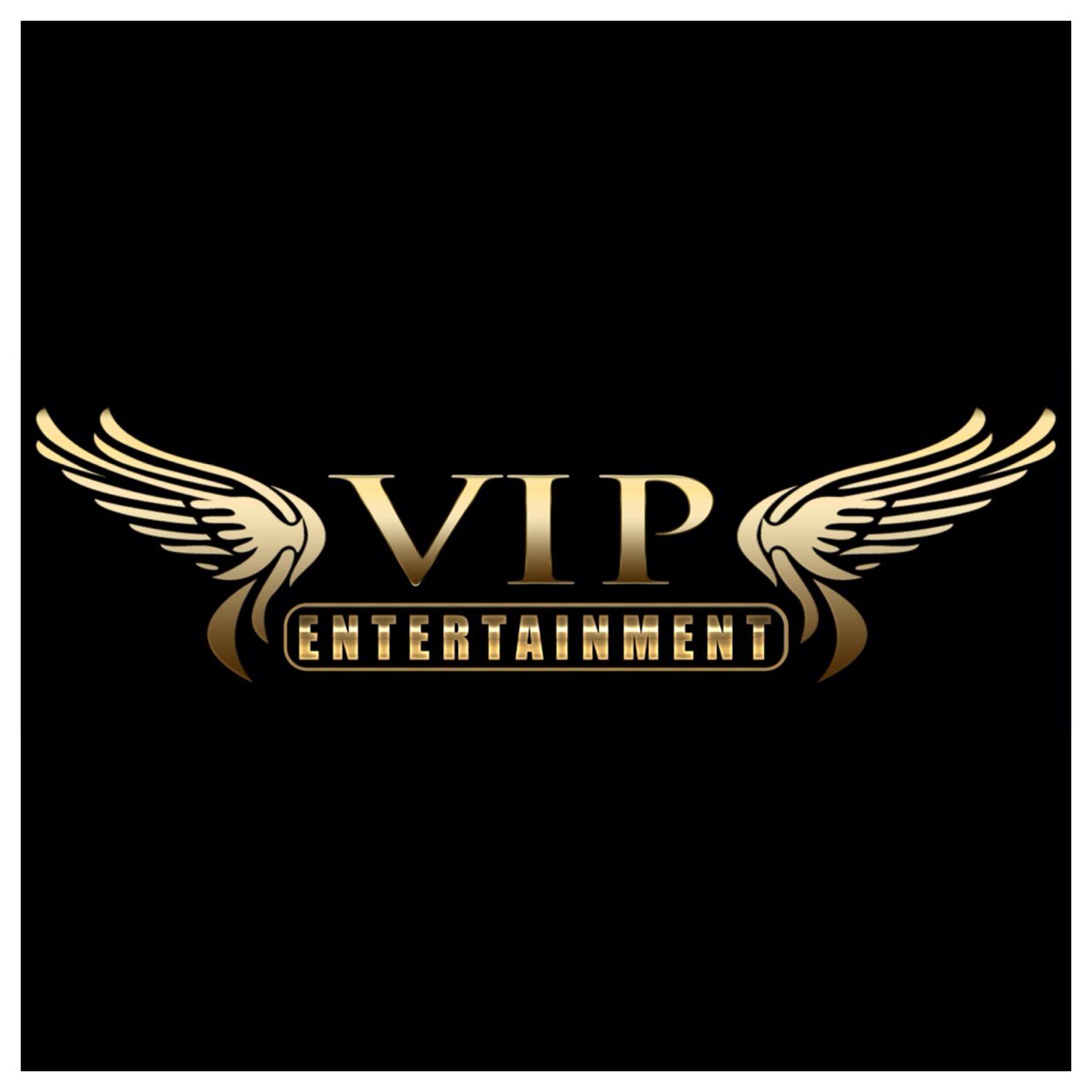 Vip Ent....Its a lifestyle! 
For all inquiries call 941-920-3122