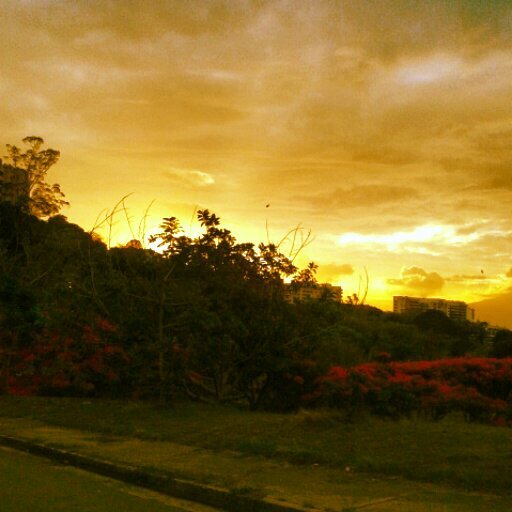 Arquitecto UCV