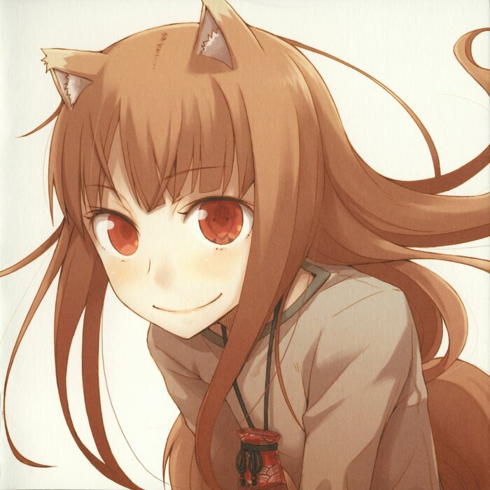 Hi I'm Holo! At night I usually change into my Wolf form. I like to drink sake when I can! I hate being alone.... #Writer @deidaraharuno