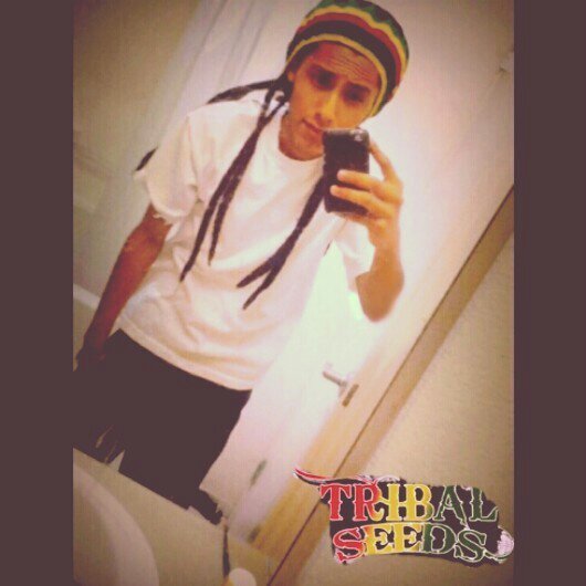 alex_marley1's profile picture. 