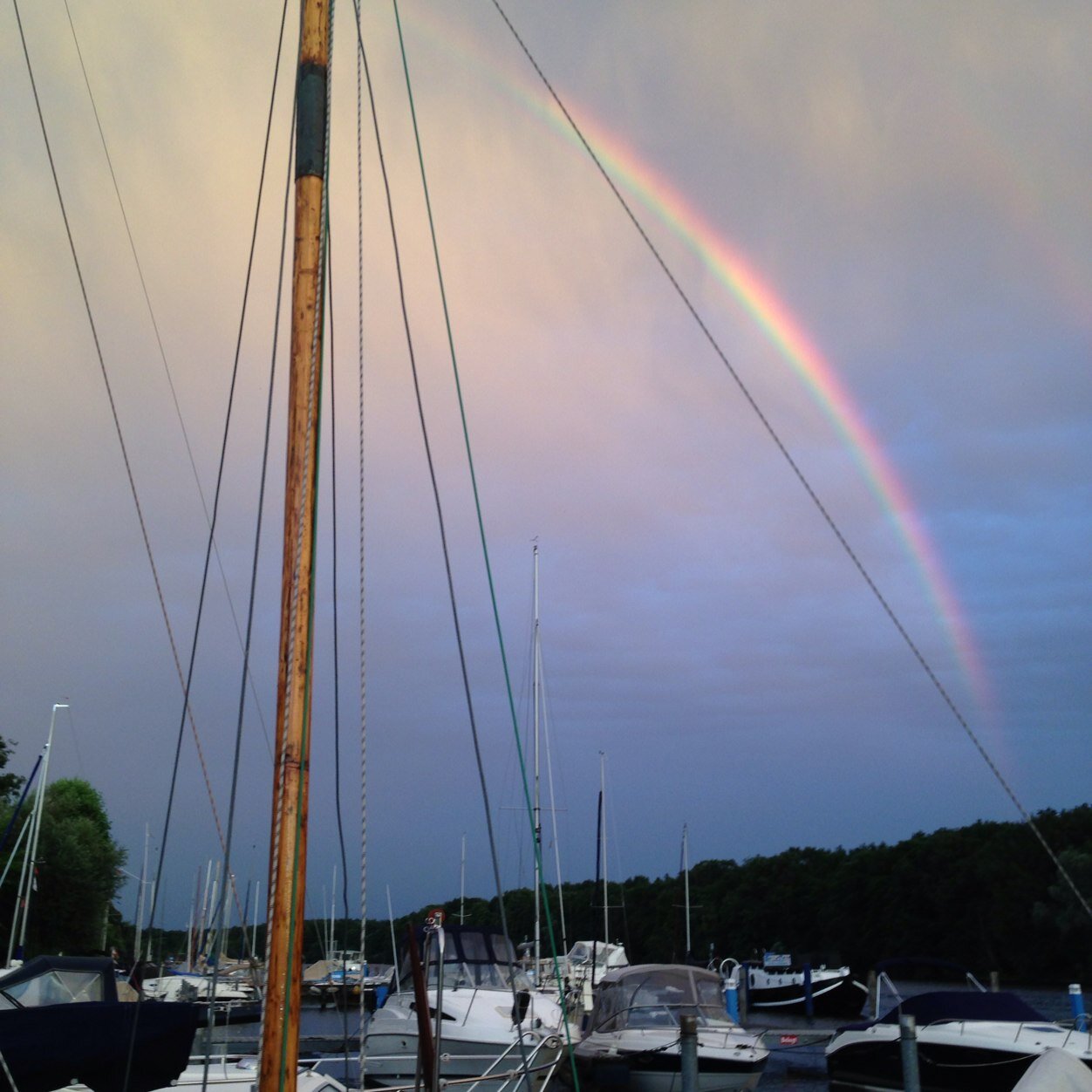 kallinichta's profile picture. 