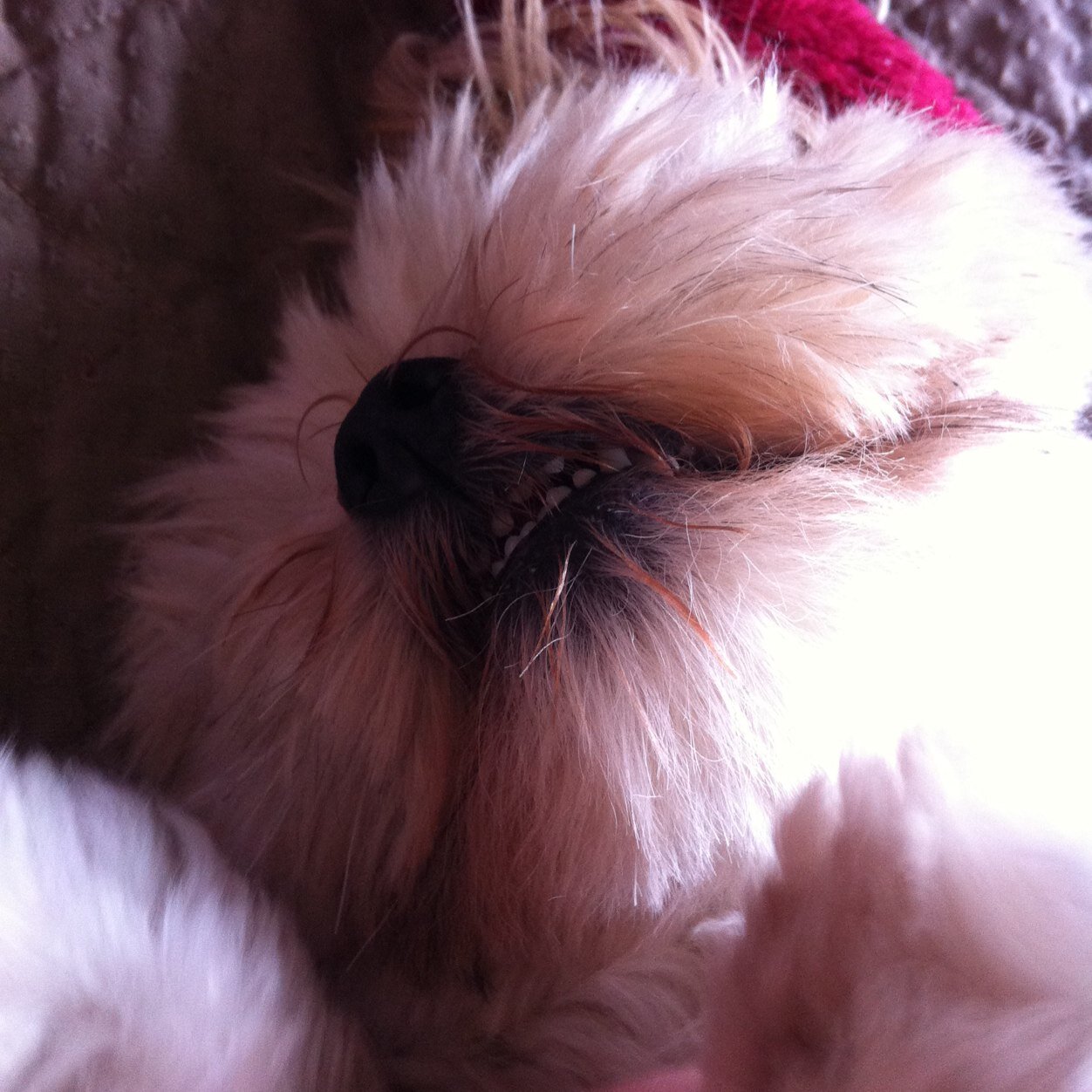 louise_cathrine's profile picture. 