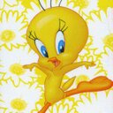 Sonya Wicks - @Wicked_sonya - Twitter