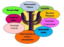 psicothema's profile picture. Psicología y profesión