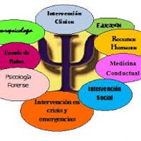 psicothema  (@psicothema) 's Twitter Profile