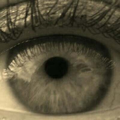 queirols's profile image