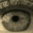 queirols's profile image