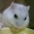 murase1964's profile image