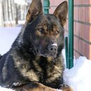 erdogan sımsek - @aslan_57_34 - Twitter