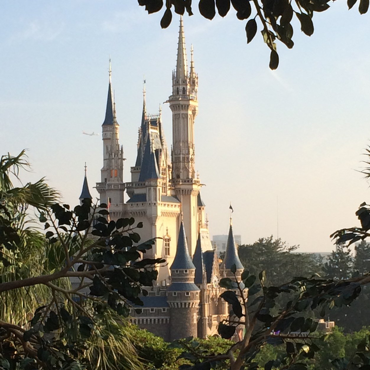 ひよこ Disney用 Dnokghmk0903 Twitter ひよこ Disney用 Dnokghmk0903 Twitter