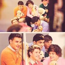 soy muy creativa en las manualidades ,amo a one direction,me encanta escuchar musicas de ellos
