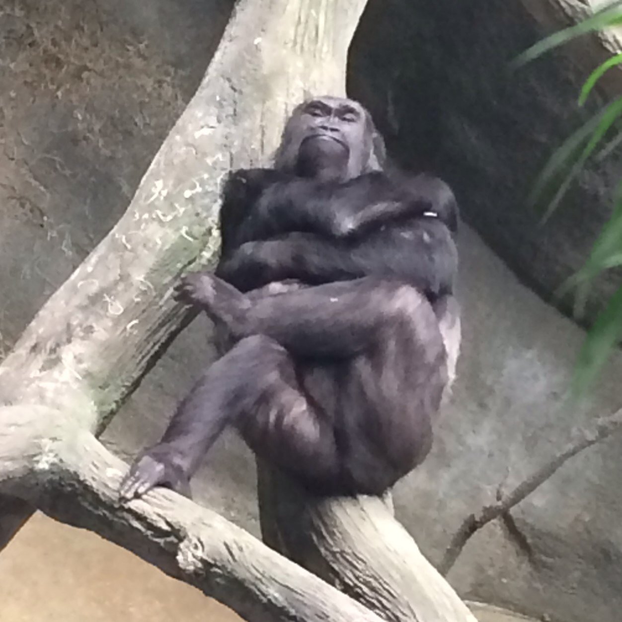 surffboart's profile picture. ⭐️

shooting star--make a wish!