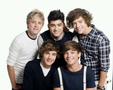 hi so i love 1D that is why i started this (∩_∩)