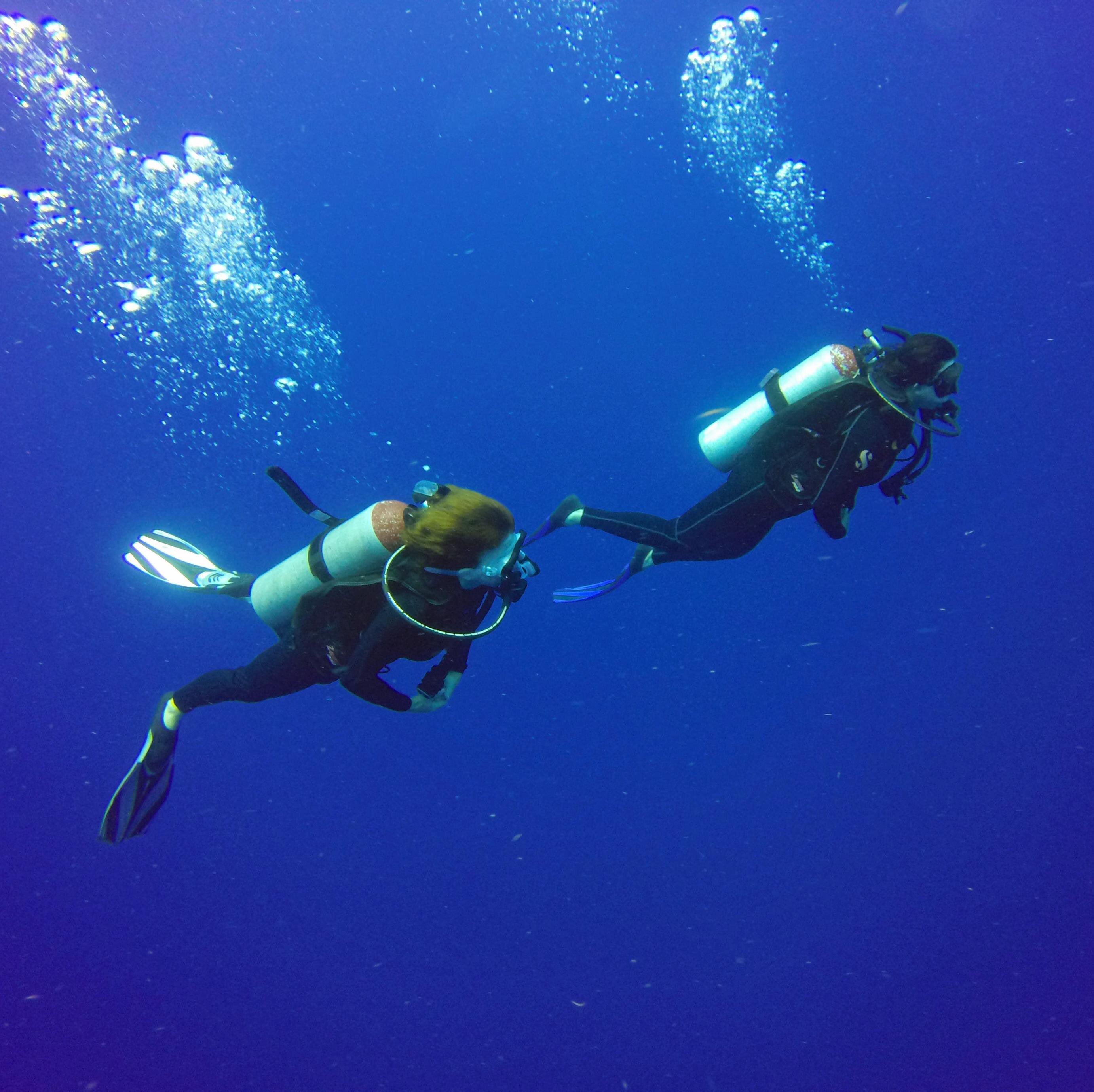 Retired law enforcement that leaves no stone on my path unturned! Travel the globe and save our oceans are my new cases.