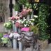 New Brighton Flowers (@newbrightonfas) Twitter profile photo