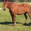 fabian corbo  - @tatoyamado - Twitter