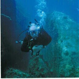 barnard_cb's profile picture. 