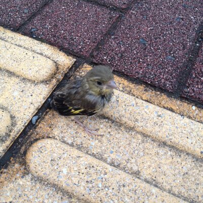 ぬんら