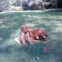 Karl Scheidt - @KBScheidt - Twitter