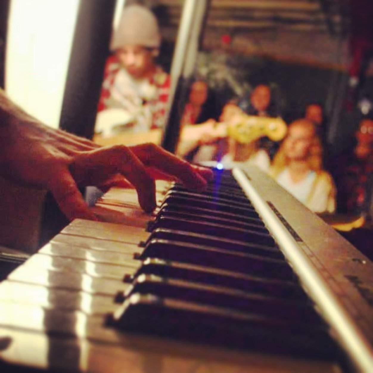 PFtheturtles's profile picture. Fan page for Paradise Fears. The display photo credit goes to @MYKELLisaTURTLE