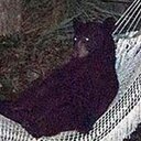 Scott Lineberry - @slinebe107 - Twitter