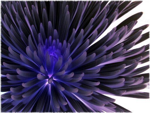 qnodrknss's profile picture. @qnodrknss.bsky.social
Thrive on sarcasm, hockey and chocolate.  Easily distracted by everyt.... Gadget!