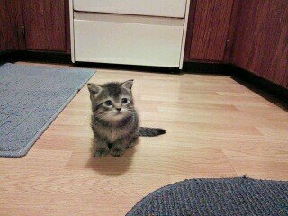 hardknockslife9's profile picture. 