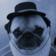 Oskar