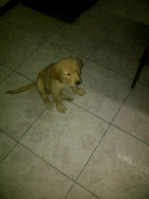 Andres240531's profile picture. 