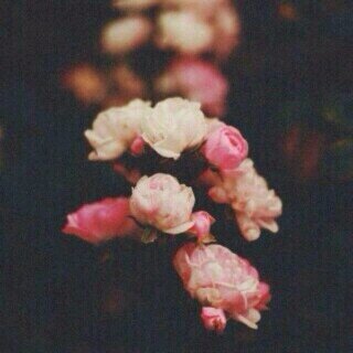 الطنقره الفجائيه :
   جزء من حياتي والله حاولت
 أتركها بس ماش ما هانت علي   ..  Insta.. sosh_14 ..♡