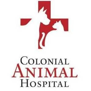 Colonial Animal Hospital is a full service medical and surgical veterinary hospital located in Midtown Springfield, VA, focused on dogs and cats.
