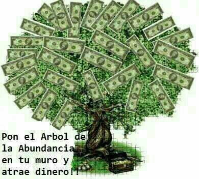 martuchi_seg's profile picture. 