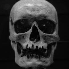 Memento Mori. I am flesh, blood and bone. Films inc. #Tyburnia, #AgainstCinema. I am also @erewhonn https://t.co/iGON1ldhEM