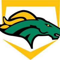 Hempstead Baseball (@gostangs) 's Twitter Profile