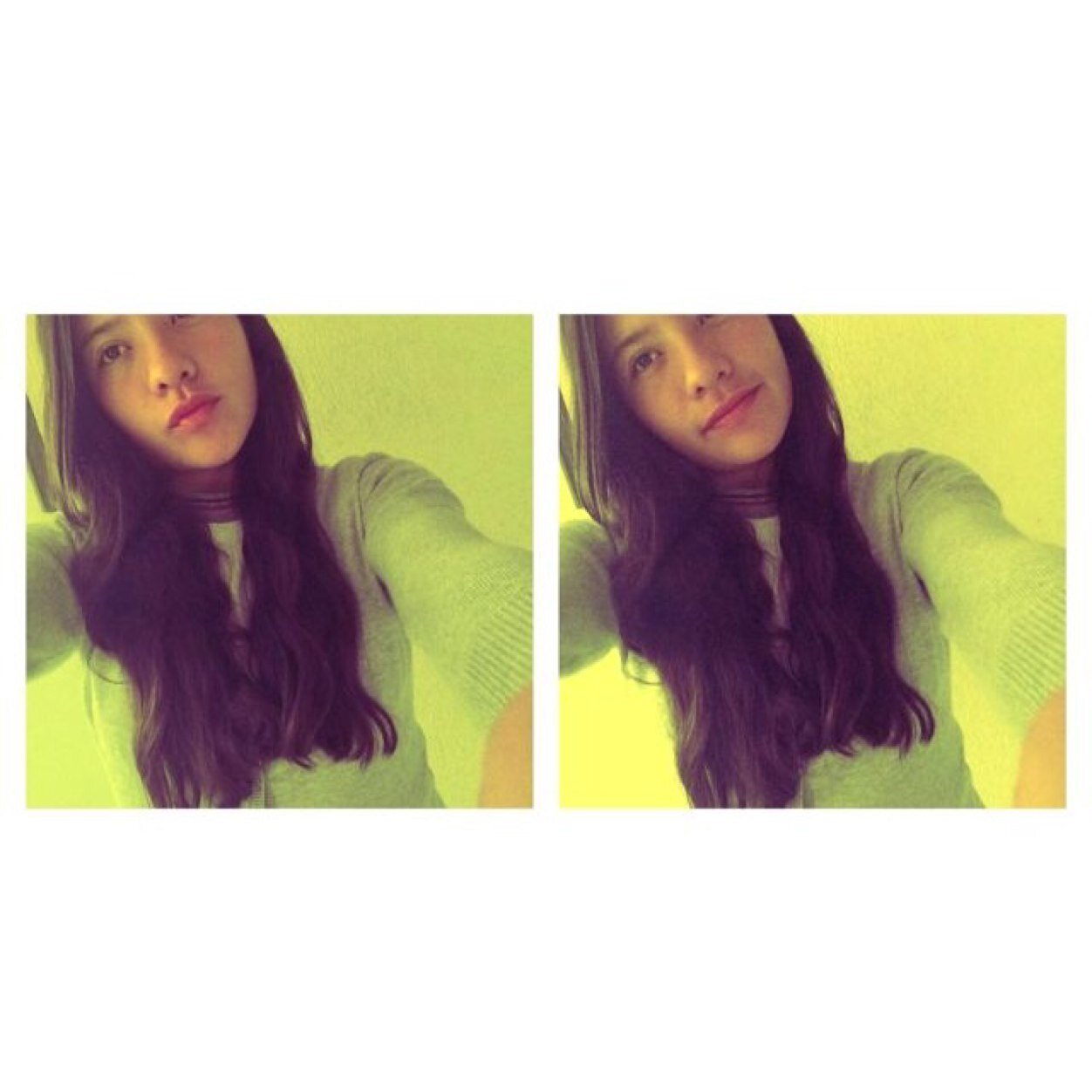 aleejaraamillo's profile picture. 