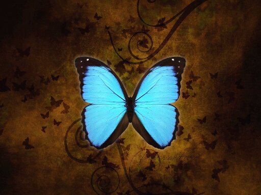 Carmin5's profile picture. 