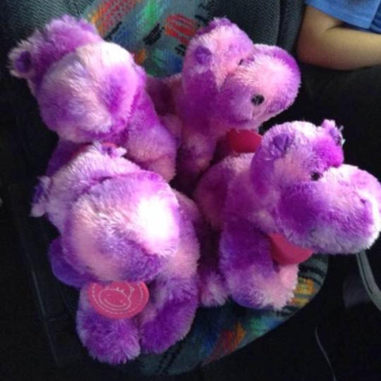 4SOS__'s profile picture. love all who support us hippos! @gordon4sos @robert4sos @fletcher4sos @alfredo4sos