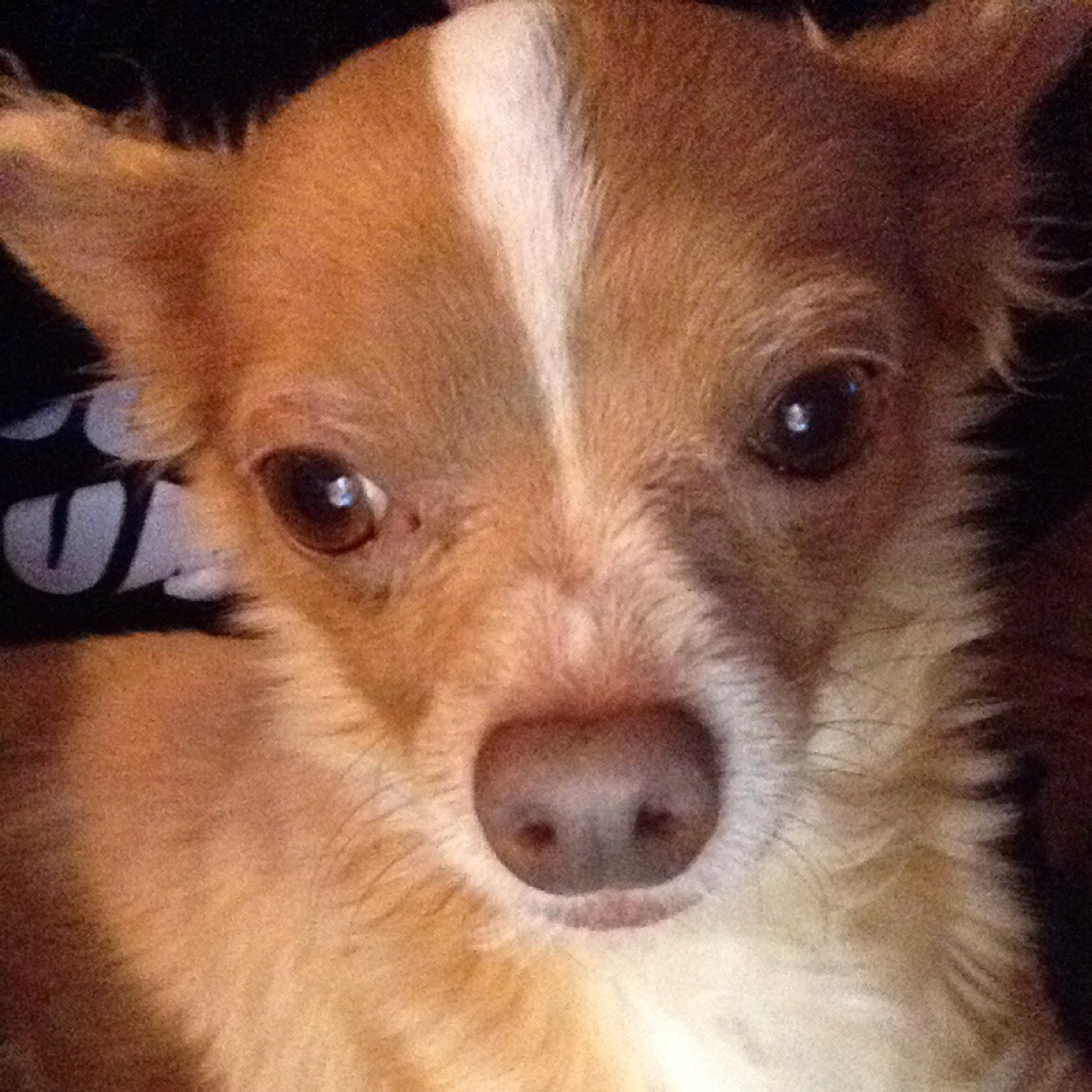 tha nicest asshole youll ever meet