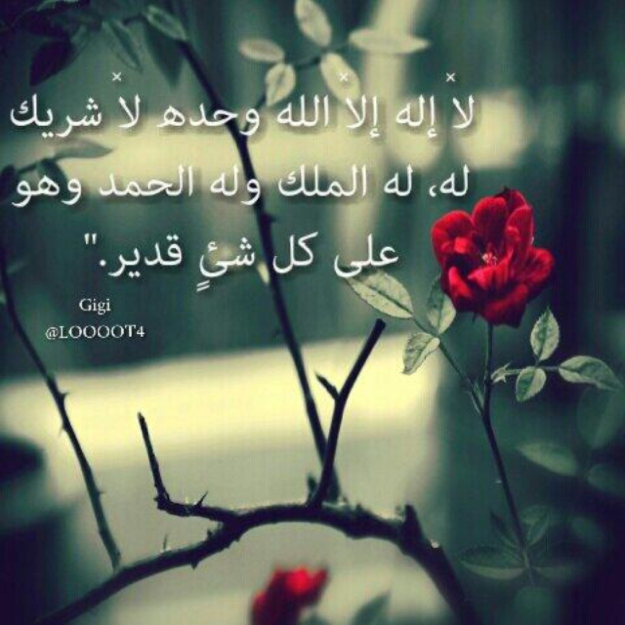 أستغفرالله وأتوب اليه