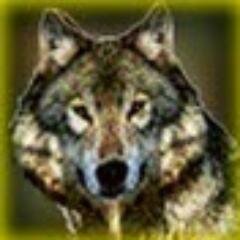 Wolf, there it is!